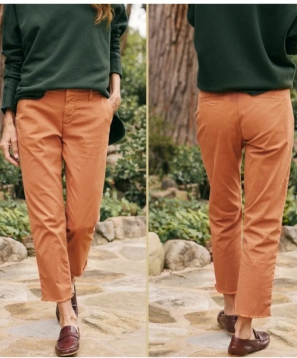 Frank & Eileen Wicklow Italian Performance Ankle Pants Sz 6 Boho Preppy
